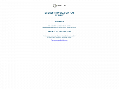 everestphysio.com snapshot