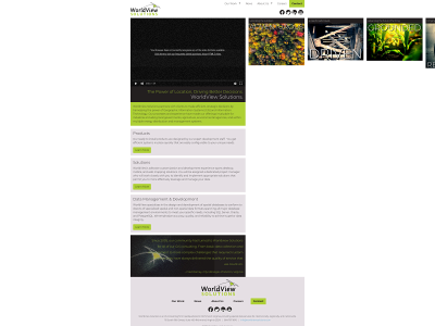 worldviewsolutions.com snapshot