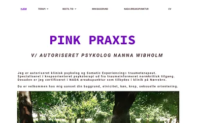 pinkpraxis.com snapshot