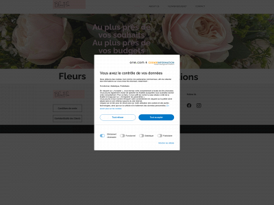 bloomflow.be snapshot