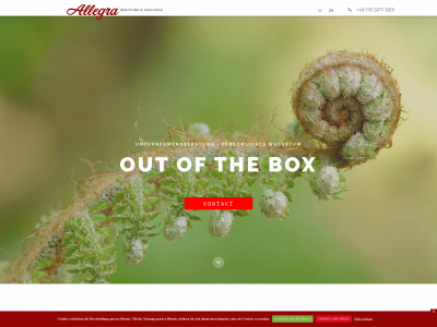 allegra-beratung.de snapshot