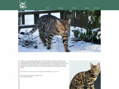 catterylux.nl snapshot