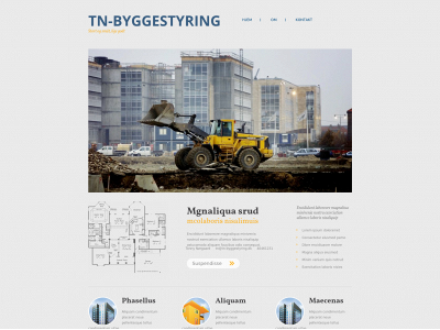 tn-byggestyring.dk snapshot