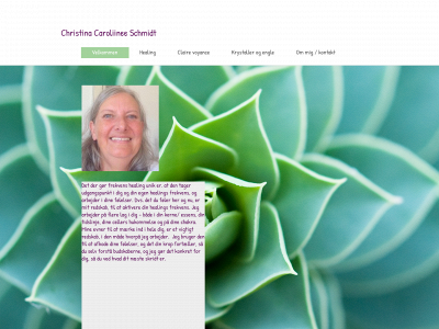 christina-schmidt.dk snapshot