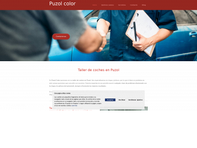 puzolcolor.com snapshot