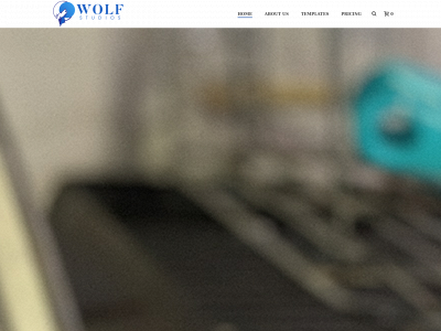 wolfstudios.online snapshot