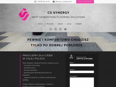 cs-synergy.com snapshot