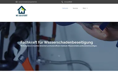 wsgeistert.de snapshot