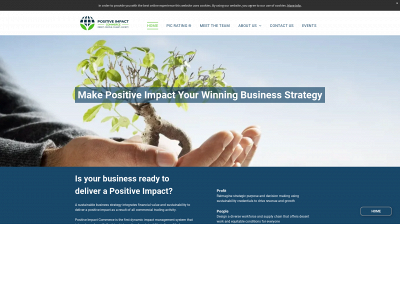 positiveimpactcommerce.com snapshot