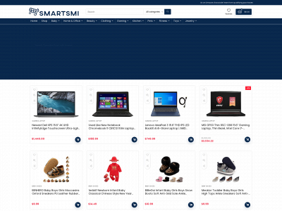 smartsmi.com snapshot