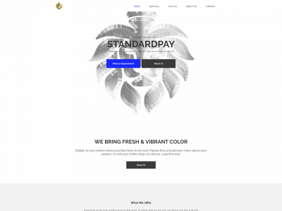 standardpay.one snapshot