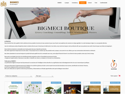 bigmeci.com snapshot