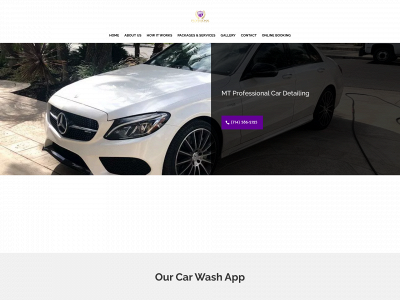 www.mtcardetailing.com snapshot