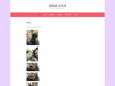 doggiestyln.com snapshot