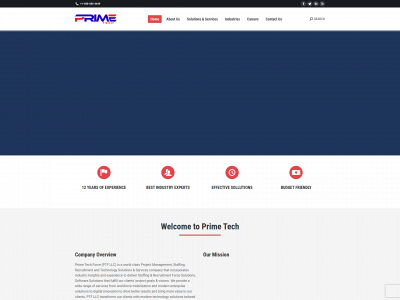 ptforceusa.com snapshot