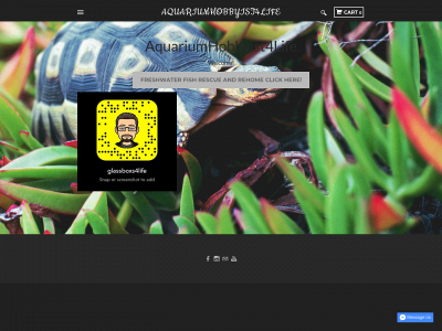 www.aquariumhobbyist4life.com snapshot