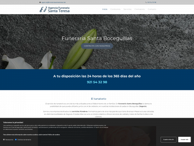 www.funerariaboceguillas.es snapshot
