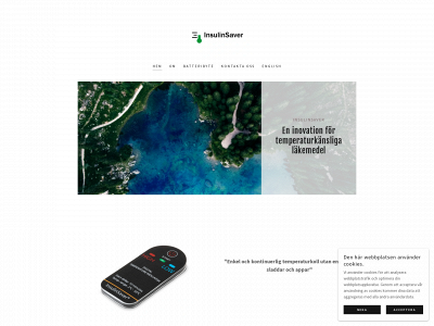 insulinsaver.com snapshot