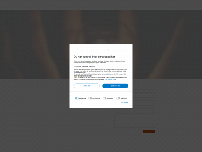 solskyddsel.se snapshot