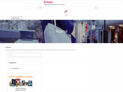 ersaor.com snapshot