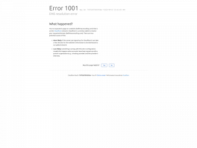 bellhinaconsulting.com snapshot