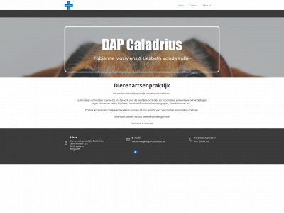 dapcaladrius.be snapshot