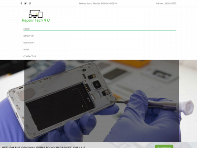 repairtech4u.com snapshot