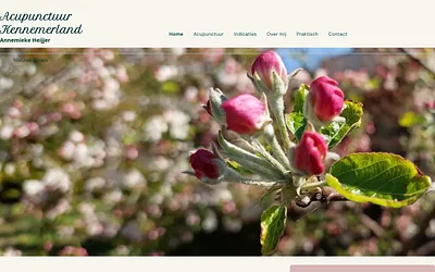 acupunctuurkennemerland.nu snapshot