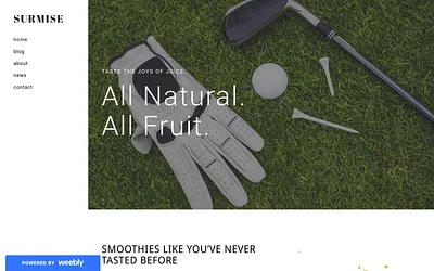 surmise.weebly.com snapshot