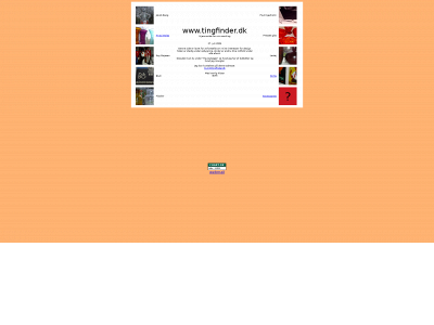 tingfinder.dk snapshot