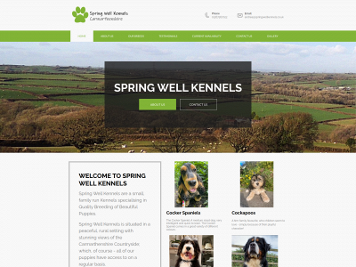 springwellkennels.co.uk snapshot