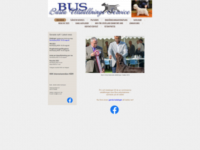 b-u-s.se snapshot