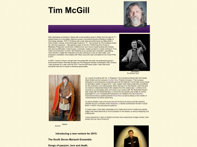 timmcgill.info snapshot