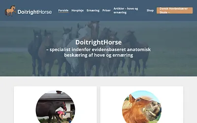 doitrighthorse.dk snapshot