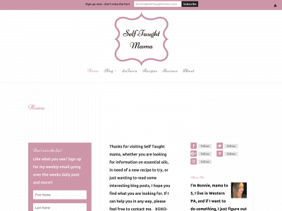 selftaughtmama.com snapshot