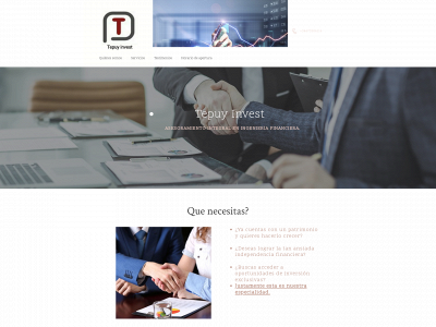 tepuyinvest.com snapshot