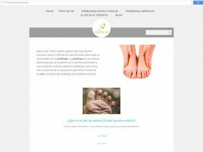 saluddelpie.es snapshot