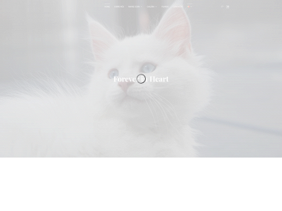 foreverinheartcattery.com snapshot