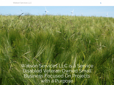 watsonservicesllc.com snapshot