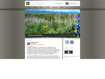 colbertrealestate.com snapshot