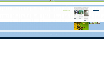 nikkitravelswell.com snapshot