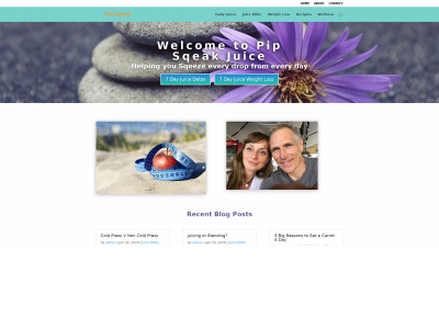 pipsqueakwellness.com snapshot