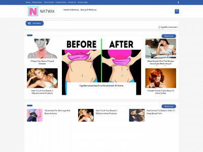 natwix.com snapshot