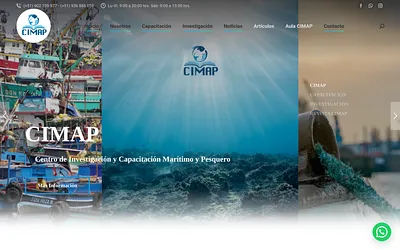 c-cimap.com snapshot