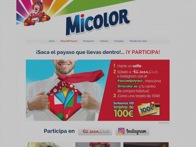 www.micolor.es snapshot