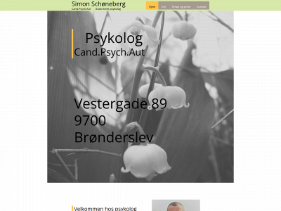 schoeneberg.dk snapshot