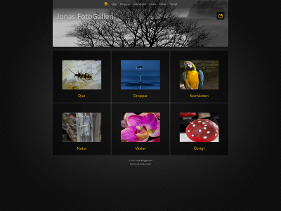 jonasfotogalleri.se snapshot