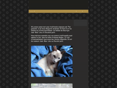 thaicatterydelahouille.be snapshot