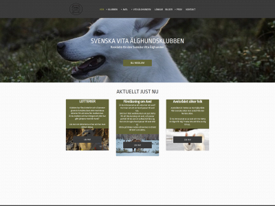 svenskavitaalghundsklubben.se snapshot