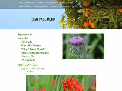 naturalbiblicalhealth.com snapshot